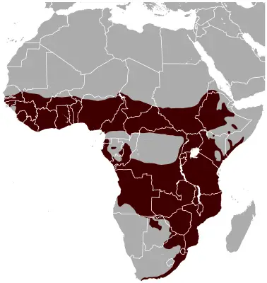 Bushbuck habitat map