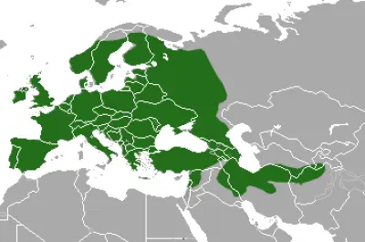 Борсук європейський карта середовища проживання