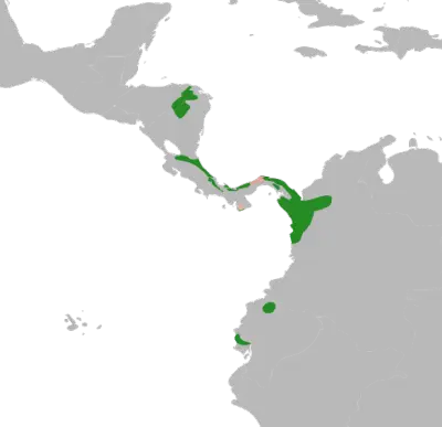 Ara verde mappa dell'habitat