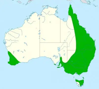 Laughing Kookaburra habitat map