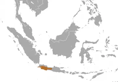 Silvery Gibbon habitat map