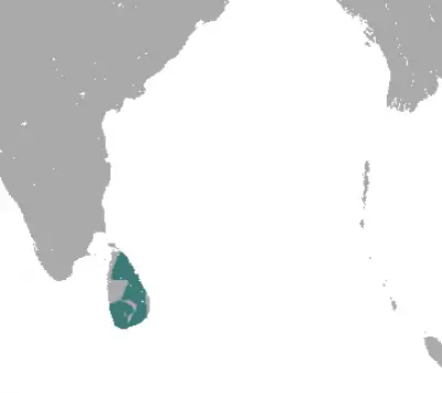 Toque Macaque habitat map