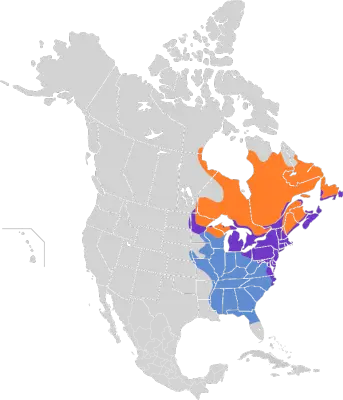 American Black Duck habitat map