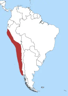 Humboldt Penguin habitat map
