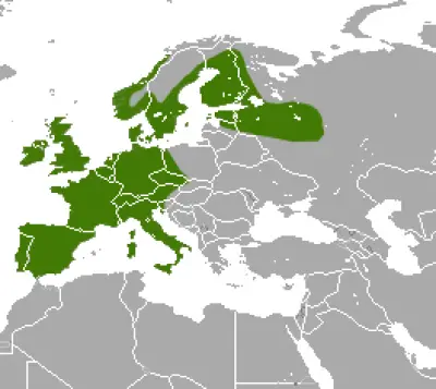 European Hedgehog habitat map