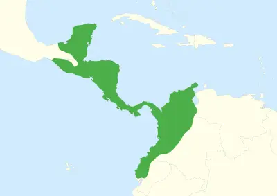 Central American Agouti habitat map