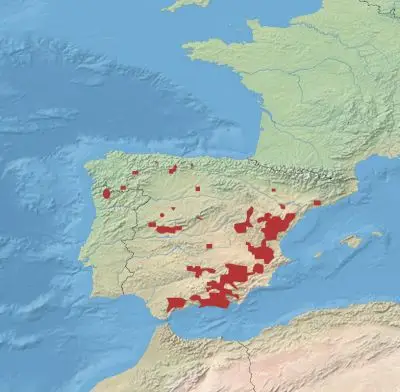 Spanish Ibex habitat map