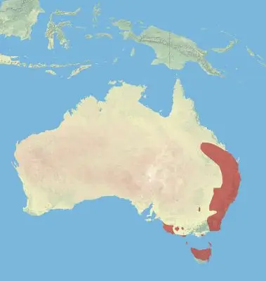 Red-Necked Wallaby habitat map