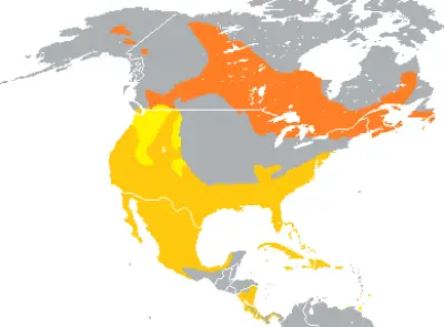 Ring-Necked Duck habitat map