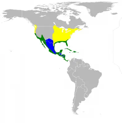 Чапля зелена карта середовища проживання