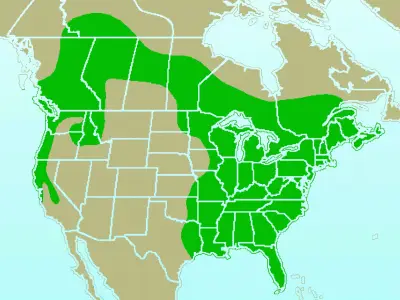 Pileated Woodpecker habitat map