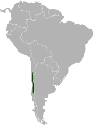 Long-Tailed Chinchilla habitat map