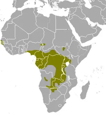Sitatunga habitat map
