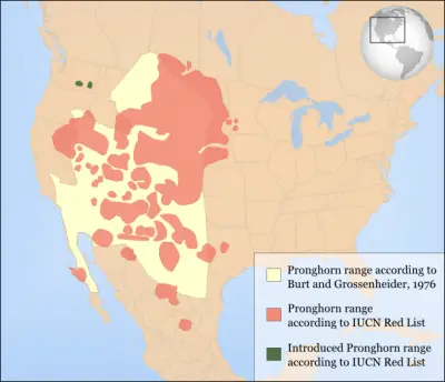 Pronghorn habitat map