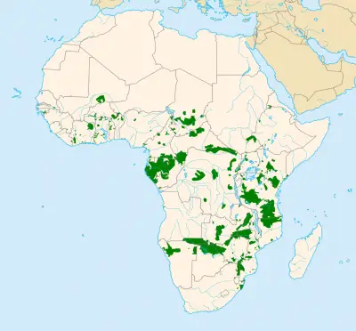 Слон саванний карта середовища проживання