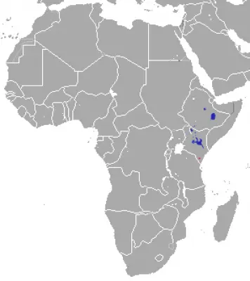 Grévy's Zebra habitat map