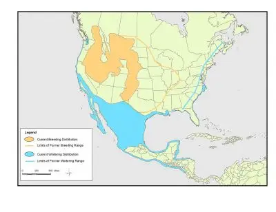 Long-Billed Curlew habitat map