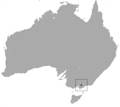Leadbeater's Possum habitat map