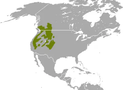 American Pika habitat map