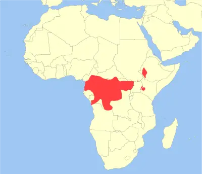 Cercopiteco de brazza mapa del hábitat