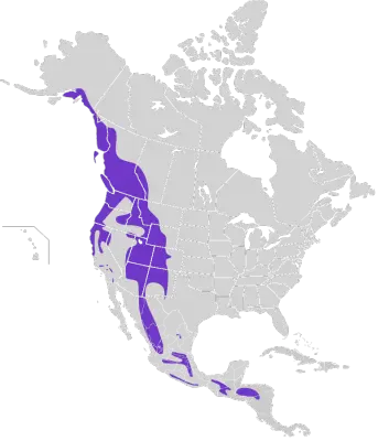 Steller's Jay habitat map