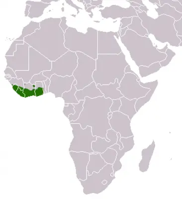 Common Kusimanse  habitat map