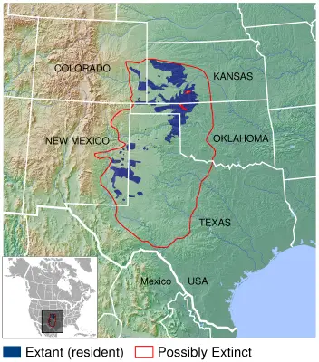 Lesser Prairie Chicken habitat map