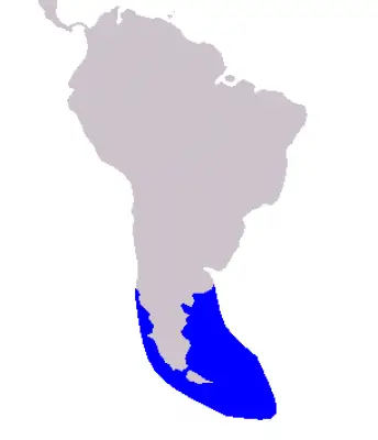 Peale's Dolphin habitat map