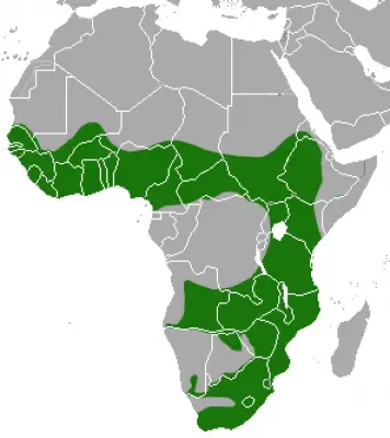 African Clawless Otter habitat map