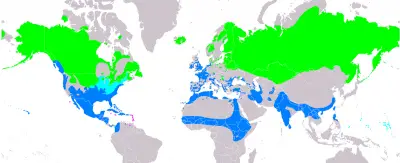 Northern Pintail habitat map