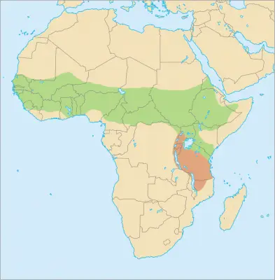 Senegal Bushbaby habitat map