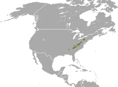 Appalachian Cottontail habitat map