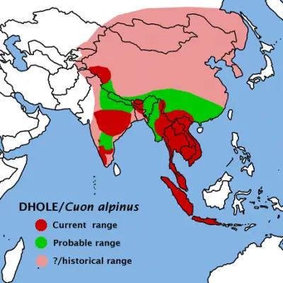 Dhole habitat map