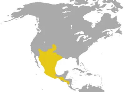 American Hog-Nosed Skunk habitat map