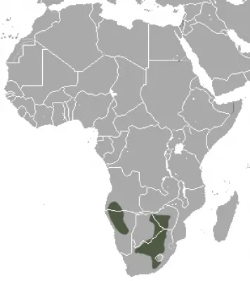 Southern African Hedgehog habitat map