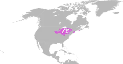 Черепаха Бландінґа карта середовища проживання