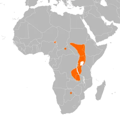 Shoebill habitat map