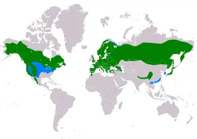 Northern Goshawk habitat map