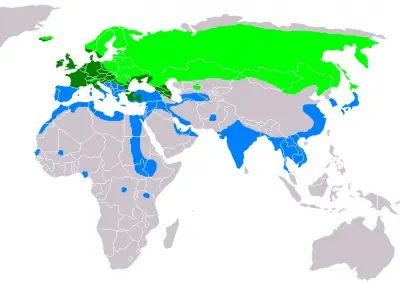 Eurasian Teal habitat map