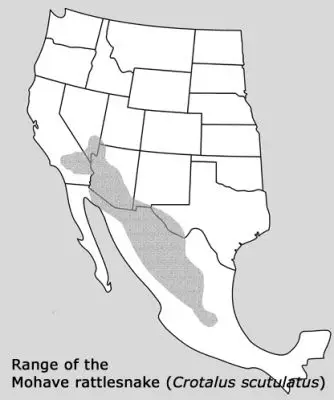 Mojave Rattlesnake habitat map