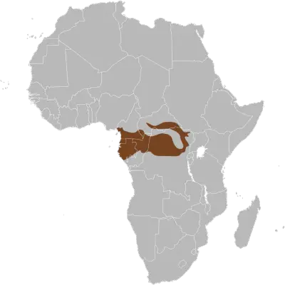 African Forest Elephant habitat map