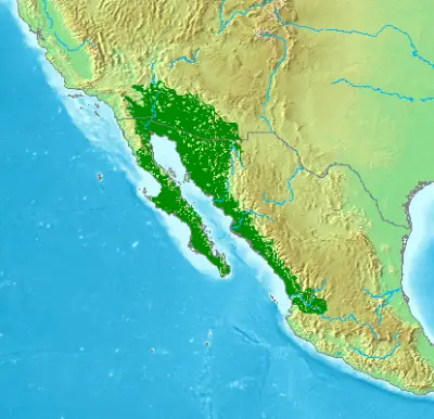 Gila Woodpecker habitat map