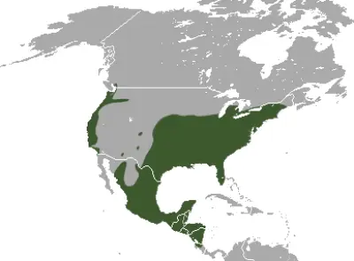 Virginia Opossum habitat map