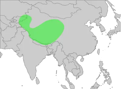 Himalayan Vulture habitat map