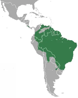 Oncilla habitat map