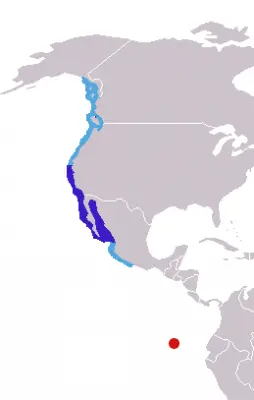 Каліфорнійський морський лев карта середовища проживання