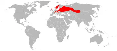 Бобер європейський карта середовища проживання
