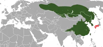 Siberian Weasel habitat map