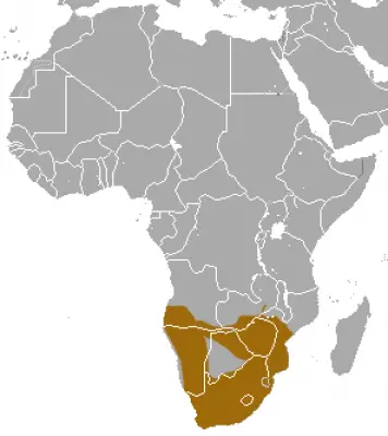 Chacma Baboon habitat map