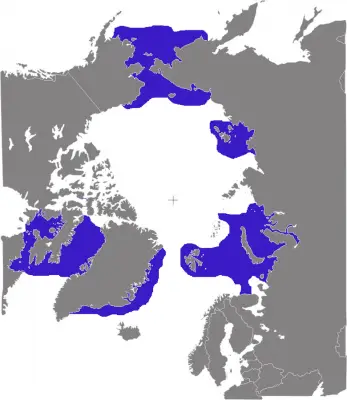 Walrus habitat map